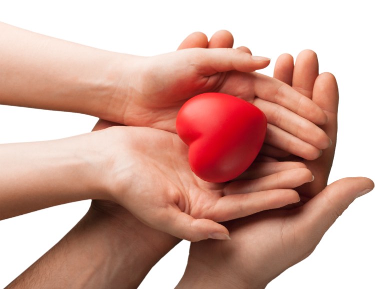 Társadalmi felelősségvállalás, támogatások 2023-2024