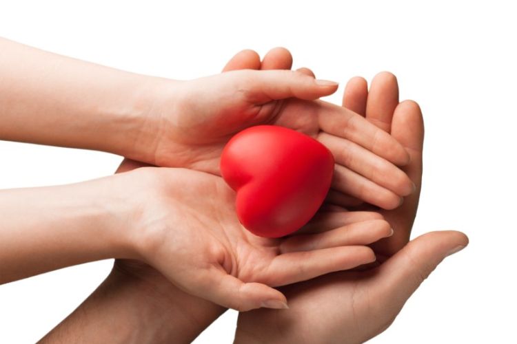 ENSI támogatások - társadalmi felelősségvállalás